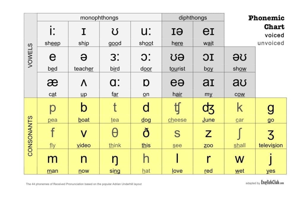 Lesson 1 phonemic chart